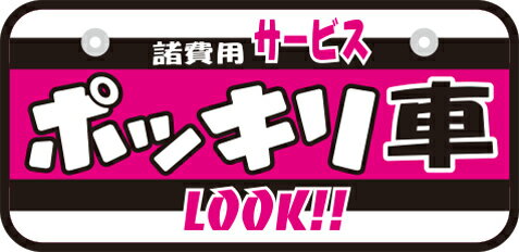Rakuten - 【6枚以上〜】NCS-L SK製(W鋼板) ナンバープレート ポッキリ車 ※6枚以上からの販売