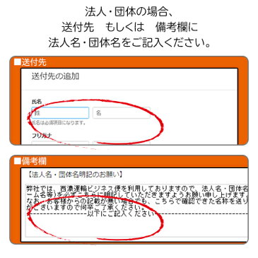 選挙用タスキ（名入れ）/芯無し 15×150cm フルカラー可能【選挙】ビニールカバー付