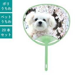 ペットうちわ マルチーズ 20本セット | F1402 団扇 うちわ ポリうちわ 犬 いぬ まとめ買い お花見 桜 もふもふ セット イベント