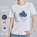 Tシャツ レディース 楓 紅葉柄 刺繍 通勤 丸首 半袖 コットン カットソー 春夏 夏 ストレッチ トップス ナチュラル シンプル 夏服 きれいめ カジュアル おしゃれ ベーシック 20代 30代 40代 大きいサイズ ホワイト ブラック ピンク M L XL 2XL 3XL