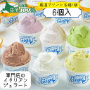 アイス 北海道 ジェラート|ピスタチオ&濃厚ミルク 牛乳6個 詰め合わせ(各3個)|恵庭 専門店 直送 ジェラテリアGigi お取り寄せ 高級ギフト