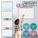 書いて消せるポスター A2 単品1枚 ひらがな カタカナ アルファベット ローマ字 すうじ 0〜100まで 指数字 時計 あいうえお 五十音 英語 ABC 文字...