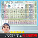 お風呂ポスター 元素周期表 単品 A2サイズ 【日本製 学習ポスター】 元素 周期表 学校 理科 化学 原子 分子 元素記号 子ども 子供 小学生 未就学 防水 勉強 学習 知育 教育 大判 ポスター インテリア おすすめ(4)