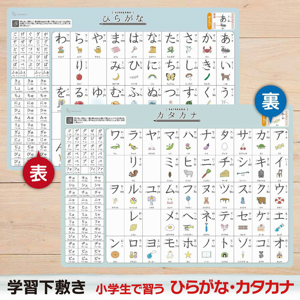 下敷き ひらがな カタカナ A4(21×29.7cm) 両面タイプ 名詞 イラスト付き 五十音表 読み書き 子供 学習..