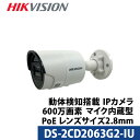 600万画素 動体検知 マイク内蔵 HIKVISION(ハイクビジョン) 防犯カメラ IP 屋外屋内 カメラ電源不要 スマホ監視 PoE DS-2CD2063G2-IU バレット型 レンズサイズ2.8mm