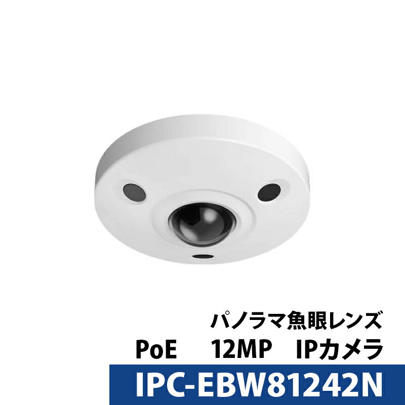 Dahua(ダーファ) 防犯カメラ IPC-EBW81242N 1 / 1.7インチCMOSイメージ ...