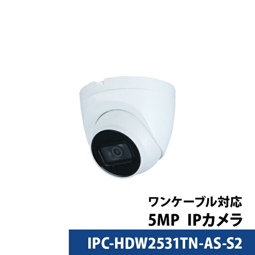 防犯カメラ 屋内屋外 500万画素 Dahua(ダーファ) IP カメラ電源不要 PoE スマホ監視 IPC-HDW2531TN-AS-S2 タレット型 レンズサイズ2.8mm 防犯カメラ 屋内屋外 500万画素 Dahua(ダーファ) IP カメラ電源不要 PoE スマホ監視 IPC-HDW2531TN-AS-S2 タレット型 レンズサイズ2.8mm