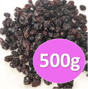 カランツレーズン 500g チャック付スタンドパック入り 【南アフリカ産・カレンツレーズン・菓子材料・パン材料・ドライフルーツ】