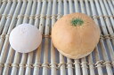 敷島製パン 冷凍生地 完熟トマト&チーズパン 76g×80個【パスコ・冷凍パン・総菜パン・トマトパン・トマトチーズパン・業務用・発酵必要】