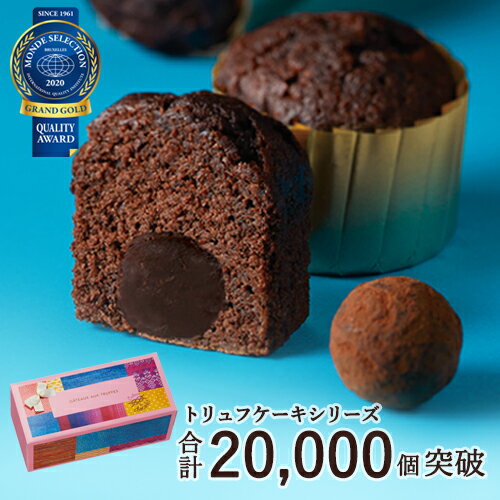 バレンタイン 義理チョコ 友チョコ 職場 ばらまき ギフト プレゼント 人気 ブールミッシュ トリュフケーキ 2個入り『常温配送・焼き菓子』 バレンタインデー
