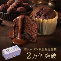 ＼ポイント10倍／バレンタイン バレンタインデー トリュフケーキ 2個入り 可愛い 義理チョコ 友チョコ 職場 ばらまき 個包装 500円 ギフト プレゼント 人気 ブールミッシュ トリュフケーキ 2個入り『常温配送・焼き菓子』