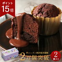 【ポイント15倍】トリュフケーキ 2個入り 可愛い 義理チョコ 友チョコ 職場 ばらまき 個包装 ギフト プレゼント 人気 ブールミッシュ トリュフケーキ 2個入り『常温配送・焼き菓子』【 7箱以上で送料無料 】