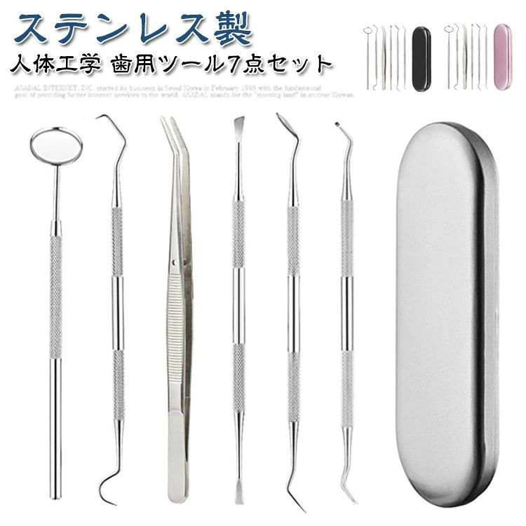 ヤニとり 口腔ケア器具 歯石取り 自宅用 ケース付き 先極細