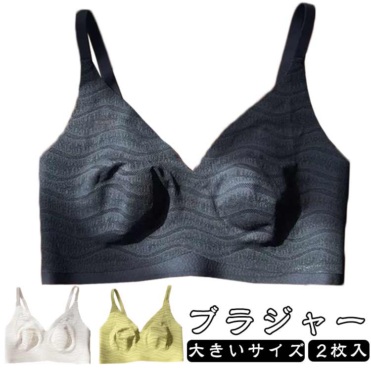 フ ナイトブラ 胸を小さく見せるブラ ノンワイヤーブラ ちいさく見せるブラ 2枚入 ...