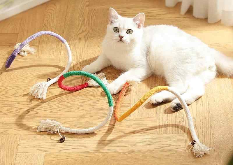 猫おもちゃ 猫用 ねこ ネコ トイ 子猫 成猫 室内用 遊び 噛む 蹴る 紐 ロープ 丈夫 噛み癖対策 運動不足対策 遊び道具 ストレス発散 軽量 シンプル 多頭飼い対応 長め 細め コンパクト 小型猫 プレゼント ギフト おうち時間 室内飼い ペット用品【商品詳細】◆サイズ：長さ 約70cm◆カラー： オレンジ、レッド×グリーン 、パープル◆対象：猫猫おもちゃ 猫用 ねこ ネコ トイ 子猫 成猫 室内用 遊び 噛む 蹴る 紐 ロープ 丈夫 噛み癖対策 運動不足対策 遊び道具 ストレス発散 軽量 シンプル 多頭飼い対応 長め 細め コンパクト 小型猫 プレゼント ギフト おうち時間 室内飼い ペット用品【商品詳細】◆サイズ：長さ 約70cm◆カラー： オレンジ、レッド×グリーン 、パープル◆対象：猫