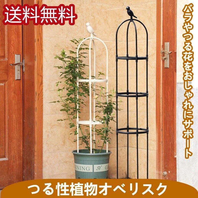組み 鉢 植物 植木鉢 園芸用品 おしゃれ プランター オベリスクアーチ 薔薇 バラ ...