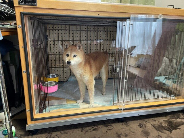 防音ケージカバー5 (ウッディー)ペット 犬ケージ 防音対策 犬用 ケージカバー 犬ゲージ ペットケージ 騒音 無駄吠え ネコ 猫 鳴き声 吠え 対策 ペットグッズ ペット用品 ゲージカバー ペットゲージ 夜鳴き 防音パネル 静か 防音カバー 吸音カバー マンション ハウス 木製