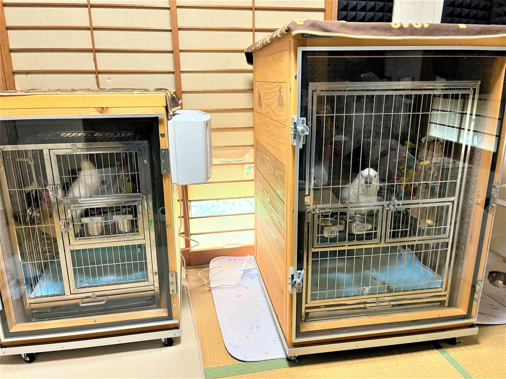 鳥用防音ケージ ペット 防音 ハウス 鳴き声 ケージカバー ゲージ カバー 大型 オウム インコ モモンガ アクリル 鳥用品 騒音 対策 防音対策 防音ケージ 鳥かご カバー 鳥かごケージ 防寒 ペットゲージ 防音パネル 老鳥 一戸建て 吸音材 マンション アパート