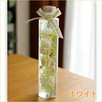 プリザーブドフラワーギフト「ハーバリウム2個入ギフトボックスセット」【送料無料】【結婚式プレゼント退職祝い誕生日結婚祝いブリザードフラワーブリザーブドフラワー】