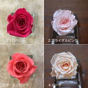 卒業式 入学式 結婚式 ウェディング 「プリザーブドフラワーのブートニア」 ブリザードフラワー ブリザーブドフラワー