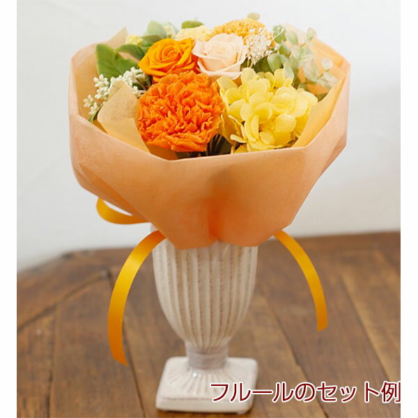 �ۥ磻�ȥǡ� ���֤� 2026 ������ѥե��١��� �� �ڲ֤Ӥ��