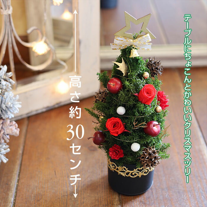 クリスマスツリー 卓上 ツリー 30cm おしゃれ かわいい プリザーブドフラワー 「 ミニクリスマスツリー型アレンジ Xmasツリー 2025 」 【 プリザ...