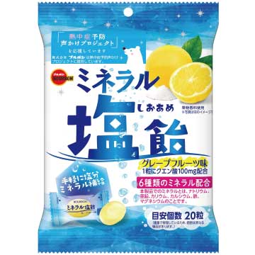名糖産業 つぶ塩レモンキャンディ 63g（個装紙込み） 10コ入り 2023/09/04発売 (4902757260705)