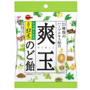 シュガーレス爽玉のど飴 12袋入