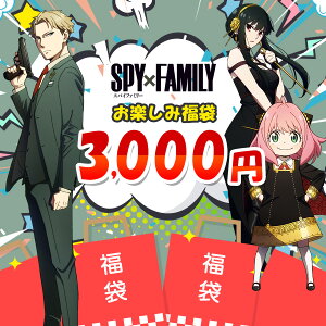 SPY×FAMILY スパイファミリー 福袋 3000円 限定 大特価 スペシャル価格 お年玉 アニメ グッズ キャラクター プレゼント 誕生日