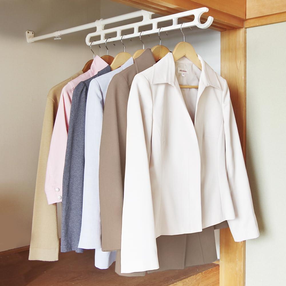 アイリスオーヤマ ハンガー スライド 押入れ 奥行65~110cm ホワイト RH-65