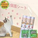 LOOBANI 猫 壁紙保護シート 壁紙シール おしゃれ はがせる壁紙 爪とぎ防止シート 半透明 ペット ひっかき 防止 はがせるタイプ 貼るだけ簡単 落書き防止 賃貸OK 壁/家具/柱/机/ドアなどの傷 汚れ防止 (90cm*10m)