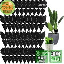 GeeRic 40枚入り 昆虫トラップ 虫取り 粘着シート 捕り粘着シート 昆虫スティッキー キャッチャー 害虫対策用品 両面強力粘着捕虫シート ハエ アブラム...