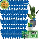 GeeRic 40枚入り 昆虫トラップ 虫取り 粘着シート 捕り粘着シート 昆虫スティッキー キャッチャー 害虫対策用品 両面強力粘着捕虫シート ハエ アブラム...