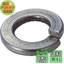 トラスコ中山(TRUSCO) スプリングワッシャー ステンレス B290020 M20 10個入 x 10パック x 【ケース販売】