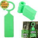 HAPVITAL 100枚 園芸用ラベル ガーデニングラベル ぶら下げ 植物タグ マーカー 植物識別 立型 植物ラベル 盆栽タグ フラワーシード名タグ 紫外線耐...