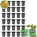 LIKENNY 水耕栽培鉢 定植かご プラスチックメッシュポット 植物育成カップ 水耕栽培ポット 園芸 庭園 ガーデンニング 苗運搬 植物栽培 無肥料 養液 有...