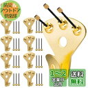 5WYOUKE 壁掛けフック 釘付き 10個入 耐荷重約34kg 強力 額縁展示用 画鋲フック ピンフック おしゃれ 大 目立たない フック 石膏ボード 木壁対...