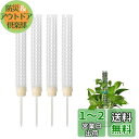 happykau モスポール支柱 4本セット連結可 観葉植物 園芸支柱 観葉植物モンステラ プラスチック 園芸 植物サポート屋内植物の成長をサポート 屋内植物の...