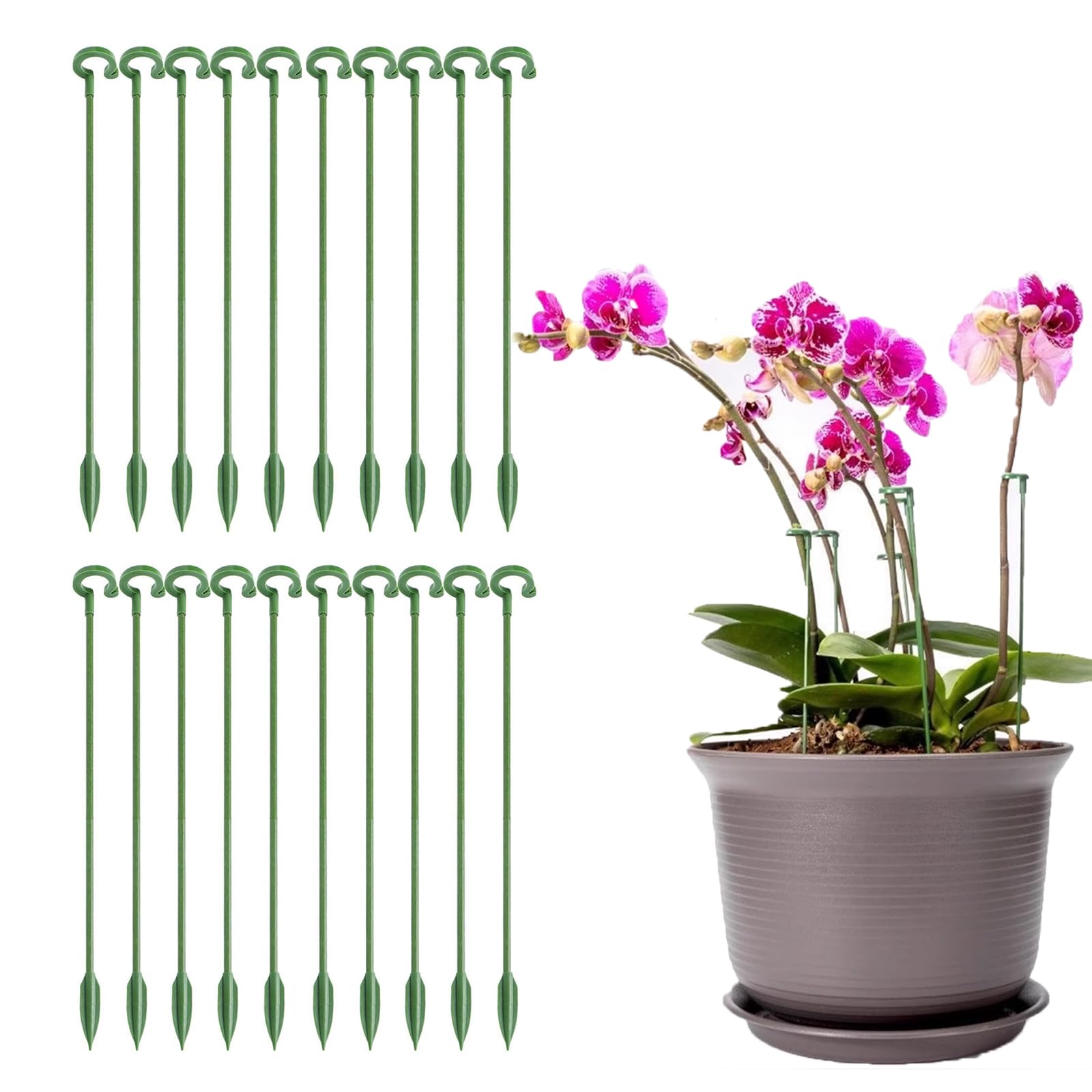【送料無料】Coollooda 園芸支柱【20本組セット】観葉支柱 植物支柱 花ささえ 観葉植物 支柱棚 花支え ガーデニング 柱 植物サポート ガーデニング ...
