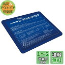 ザムスト(ZAMST) アイシング 氷嚢(氷のう) サポーター コールド&ホットパック 野球 テニス 378400