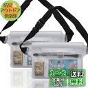 DanYee 防水ポーチ 完全防水 防水ケース 【2個セット】 IPX8取得済み 3重チャック PVC素材 海水浴 プール 釣り バイク ウエストバッグ 防水パック 携帯 (クリア)