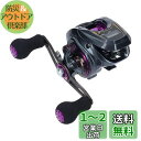 ダイワ(DAIWA) LIGHT SW X IC R カウンター付ベイトリール
