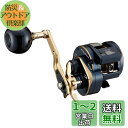 ダイワ(DAIWA) ジギング 21 ソルティガIC 300