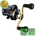 ダイワ(DAIWA) 21 ソルティガIC 100PL-DH