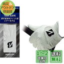 BRIDGESTONE(ブリヂストン) ゴルフグローブ TOUR GLOVE GLG12 メンズ ブラック 22cm