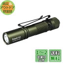 ACEBEAM Pokelit AA 懐中電灯 小型 軽量 強力 550ルーメン単三 3段階調光 高演色性 Ra90 IP68防水 最大9日の実行時間 安定した...