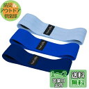 TheFitLife ヒップバンド 美尻 高耐久 トレーニングチューブ ストレッチ 内転筋 レジスタンスバンド トレーニング器具 エクササイズ 肌に優しい 筋トレ 軽量 フィットネス ヒップアップ ?力? 持ち運びやすい (ベビーブルー/ブルー/ネイビーブルー)(4)