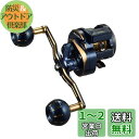 ダイワ(DAIWA) カウンター付キオフショアベイトリール ソルティガIC 300-DH