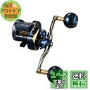 ダイワ(DAIWA) カウンター付キオフショアベイトリール ソルティガIC 100HL-DH