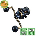 ダイワ(DAIWA) カウンター付キオフショアベイトリール ソルティガIC 100H-DH